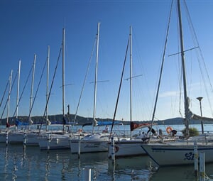 BALATON NA KOLE