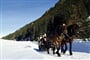 RAK_Ischgl_005