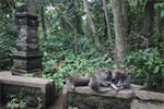 Bali_Ostrov_bohu_02.JPG