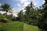 Bali_Ostrov_bohu_05.JPG