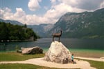 Slovinsko_Pohodovy_tyden_na_kole_Perla_julskych_Alp_Bled_03.JPG