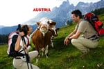 SALCBURSKO, SAALBACH-HINTERGLEMM, HOTEL ALPENOASE SONNHOF ***