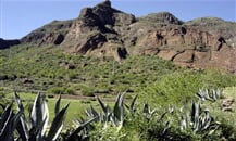 Guayadeque