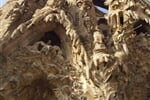 Barcelona08