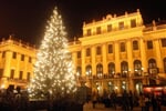Vanocni strom_Schoenbrunn