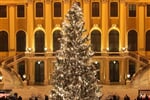 Vanocni strom Schoenbrunn2.JPG