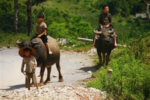To nejkrásnější z jižního Vietnamu s pobytem na ostrově Phu Quoc - 9 dní