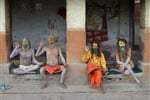 sadhu1
