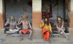 sadhu1