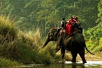 NP Chitwan