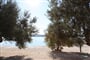 seget_donji-2012-medena_htl-35-plaz