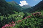 Foto - Dachstein Tauern - Pension Bertrand **