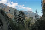 Foto - Dachstein Tauern - Pension Bertrand **