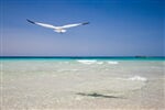 ostrov Menorca - Menorca hotely ****-dotovaná akce senior 55
