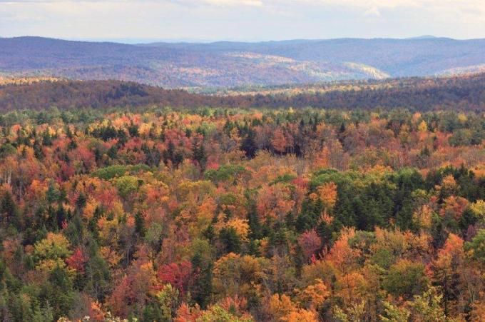 Vermont fall foliage hogback mountain