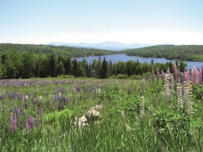 vermont-shadow lake