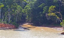 Jezero Gatún a přírodní rezervace