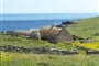 Shetlandy s turistikou