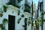 Poznavame Andalusii_Cordoba_Calle de las Flores