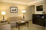 Ramada Toronto-jedno ložnicový apartmán