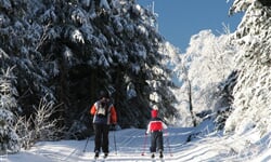 Vila Hedvika Rožnov pod Radhoštěm