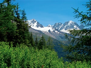 Svycarsko_Wallis_03