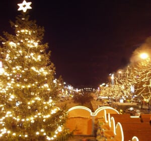 Vídeň - jednodenní adventní výlet