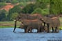 Fotoexpedice do Botswany s Petrem Slav�kem ALL INCLUSIVE