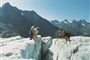 Foto - Pitztal - Alpenrose - pobyty s vl. dopravou