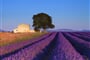 Poznávací zájezdy Francie - Provence