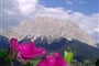 Poznávací zájezdy Bavorsko - výhled z hotelu na Zugspitze