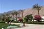 Foto - Dahab - Happy Life Village ****