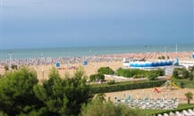 bibione03