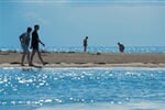 bibione08