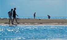 bibione08