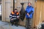 Ryba�en� - Lysoysundet