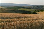 Foto - Malebné okolí Balatonu