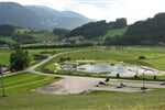 IMG 4719