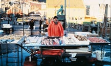 hurtigruten-29