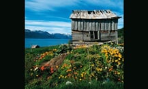 hurtigruten-70
