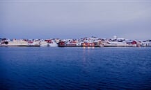 hurtigruten-84