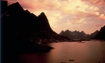 hurtigruten-39