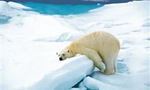 hurtigruten-115