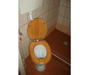Toaleta v rámci koupelny