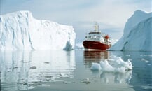 polar-star-24