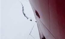 polar-star-27