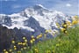 Foto - Jungfrau - Apartmán Fuhren a Stöckli ***