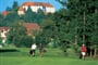 Kgolfové hřiště Ptuj 06