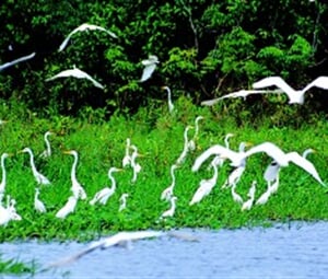 Peru, Kouzlo Amazonky