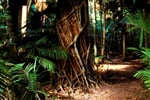 Australie_Lesík_Mission_Beach